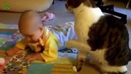 Cute Cats and Dogs Love Babies Compilation 2014 [NEW HD]