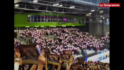 Handball. France-Argentine : de l'ambiance à Nantes