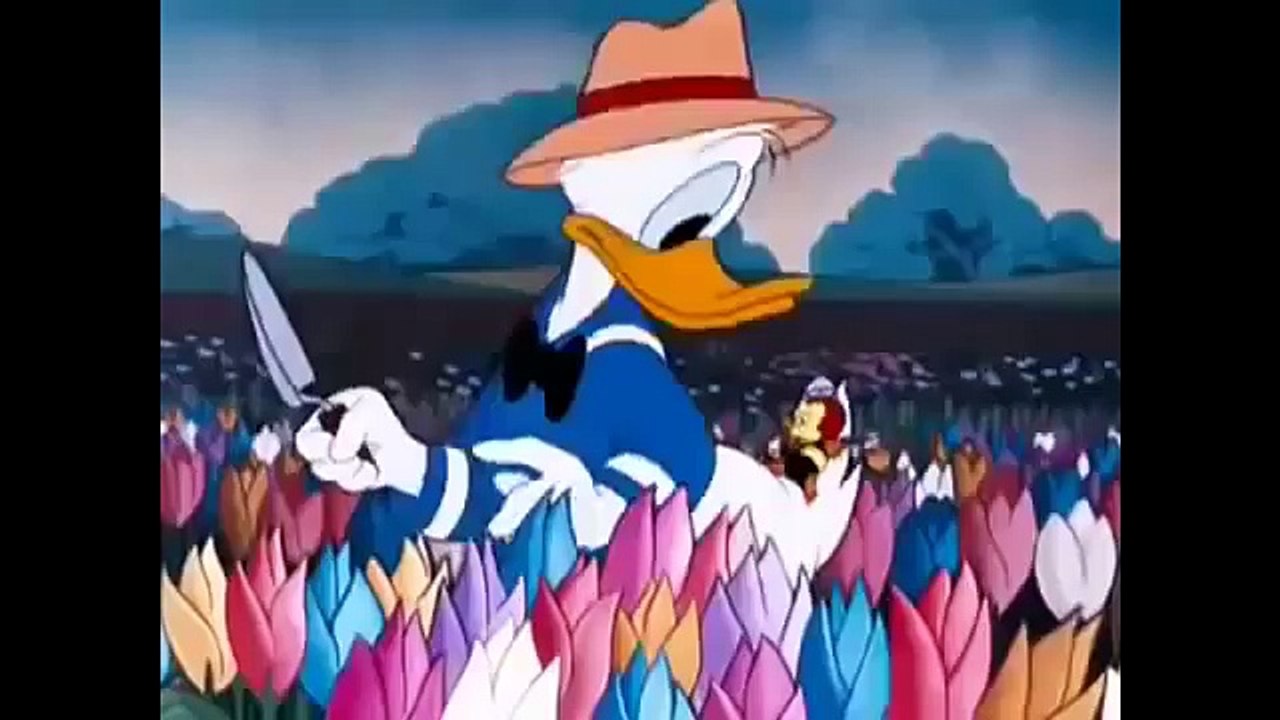Cartoons for Children   Donald Duck Cartoon Ep Bee On Guard | Funny cartoon larva 2015