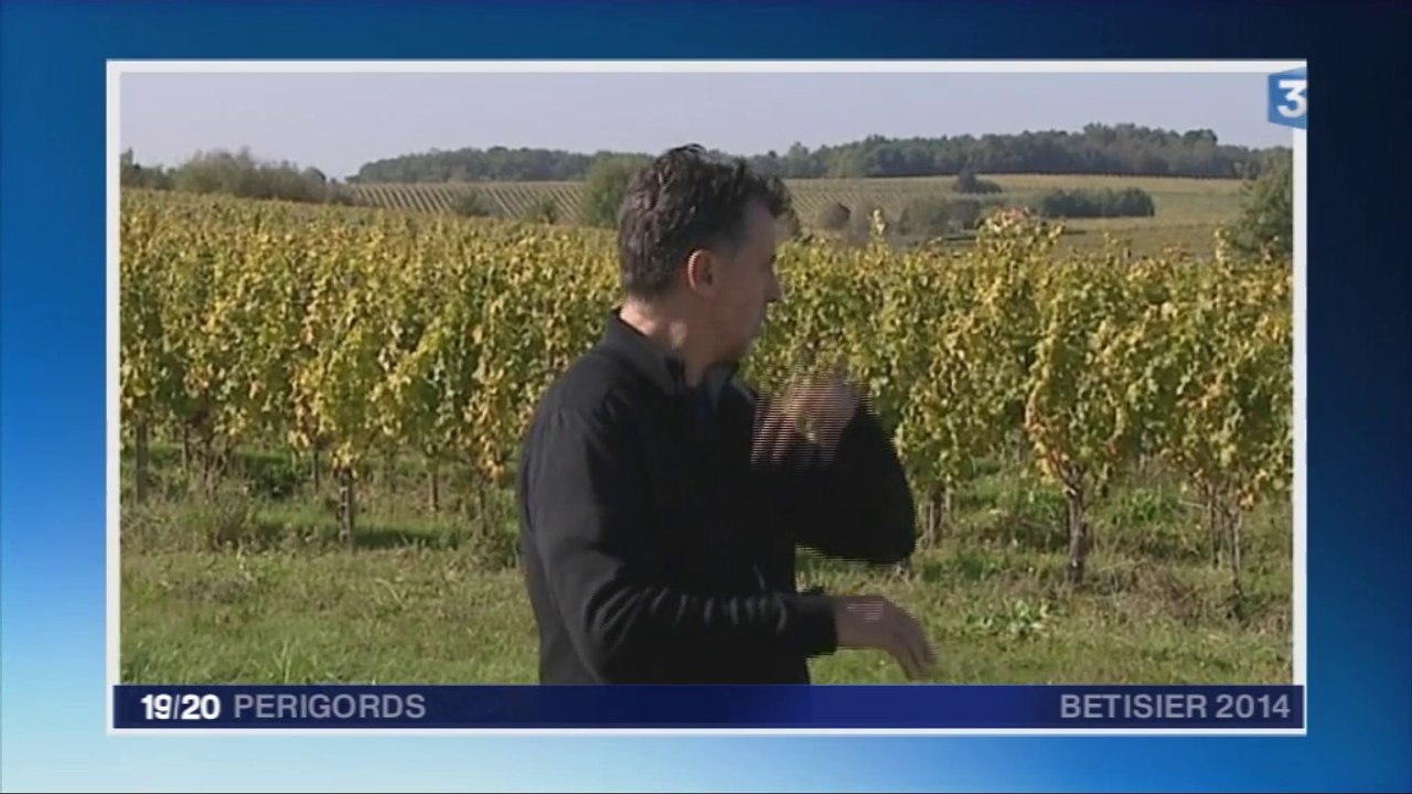 BETISIER FRANCE 3 PERIGORD EPISODE 4
