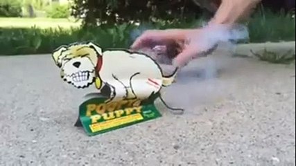 Ce qu'il Créer avec un Simple Morceau de Carton est Vraiment Énorme ! Regardez