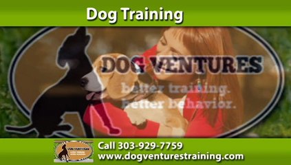 Dog Training Thornton, CO | Dog Ventures Call 303-929-7759