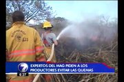MAG pide a agricultores evitar quemas por riesgo a incendios forestales