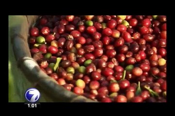 Starbucks compra finca en Alajuela