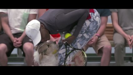 Скачать видео: Dogs serve as 'ball boys' for Venus Williams : Best Ball Boys in the World