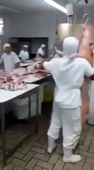 Bucher dancing with dead pig... Crazy guy!