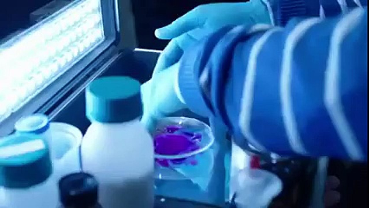 Ако ти избензиля един в муцуната още ли 'ше ми...