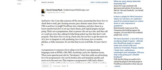What Makes a WordPress Developer or Programmer