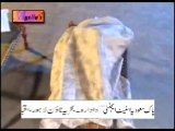 Nadia Khan And Naseem Viki in Action Hot Mujra