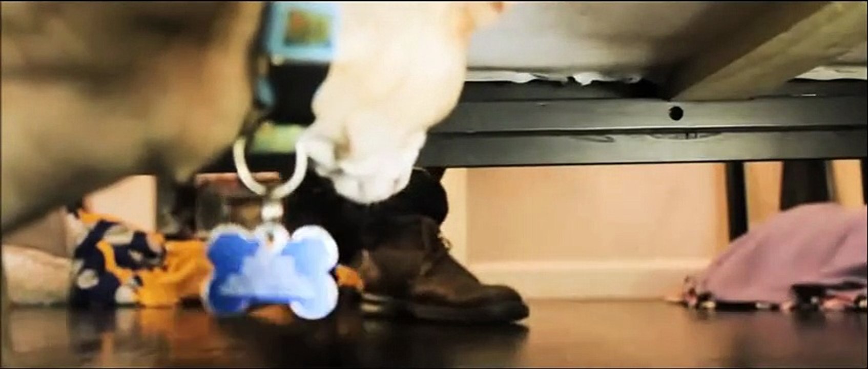 Taken 3 online cały film po polsku LEKTOR PL