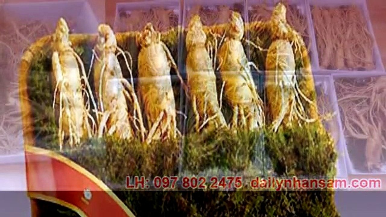 Bát nháo giá nhân sâm Hàn Quốc mà các cửa hàng che mắt khách hàng