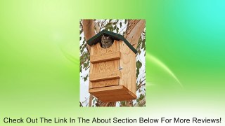 Songbird Essentials Screech Owl House Nest Box Review