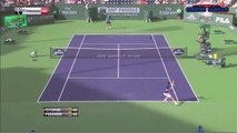 Tennis Roger Federer High Topspin Forehand Roller