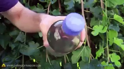 start fire using water- ARTSY