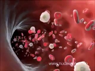 3D Medical Animation  Antibody Immune Response