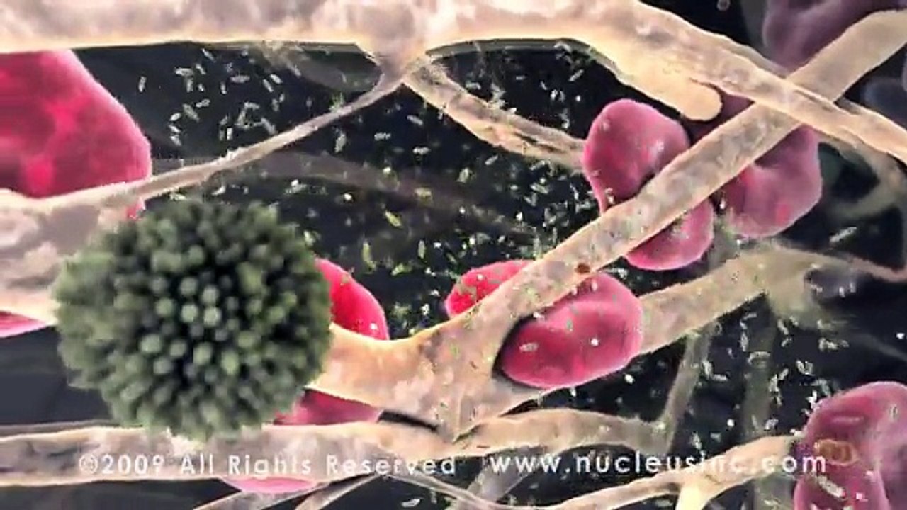 AMAZING 3D Medical Animation in HD  Nucleus 2009 Demo Reel