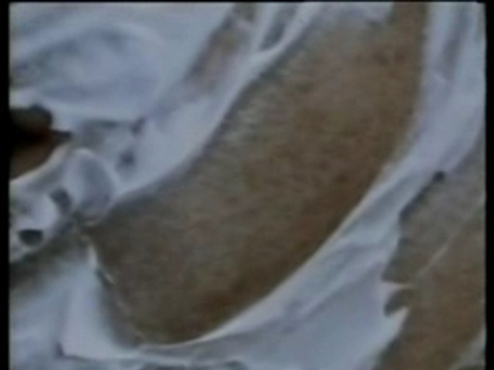 The Big Shave- Martin Scorsese