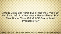 Vintage Glass Ball Floral, Bud or Rooting 3 Vase Set with Stand - G111 Clear Vase ~ Use as Flower, Bud, Plant Starter Vase. Colorful Gift Box Included Review