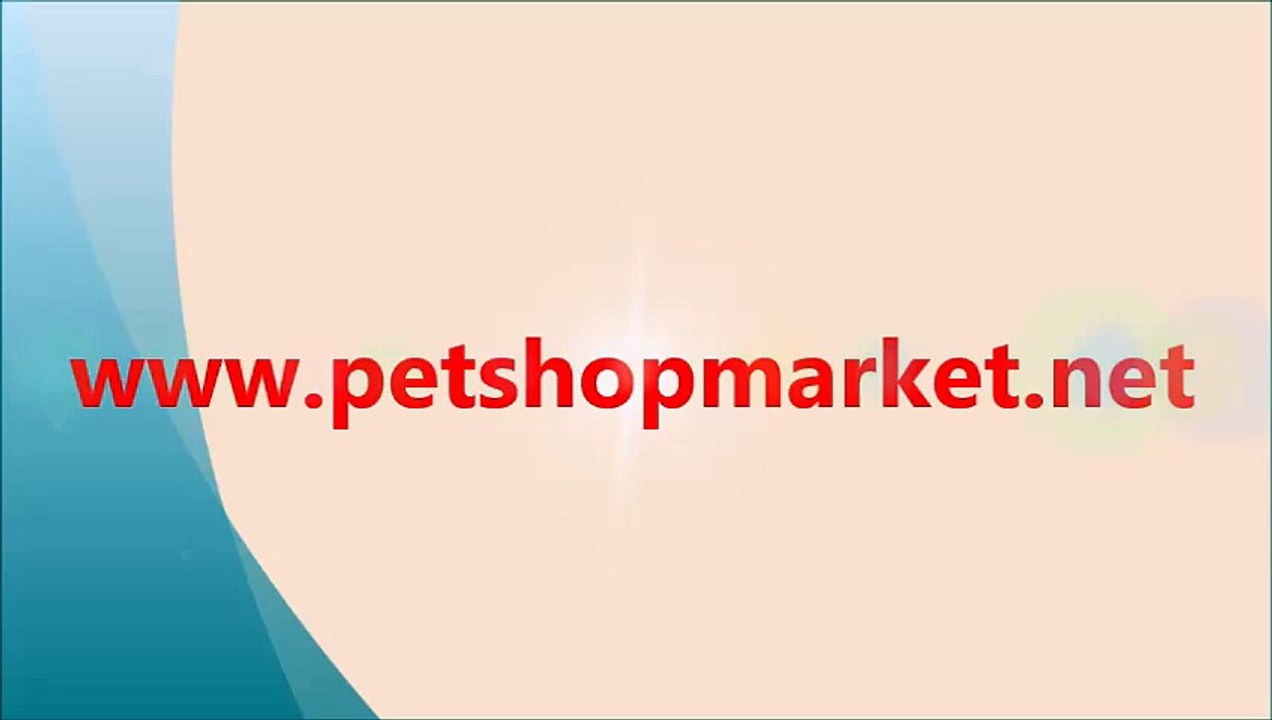 Bıldırcın suluğu,bıldırcın sulukları,bıldırcın suluk,bıldırcın suluk fiyatları,bıldırcın suluk fiyatı,bıldırcın suluk ve yemlikleri