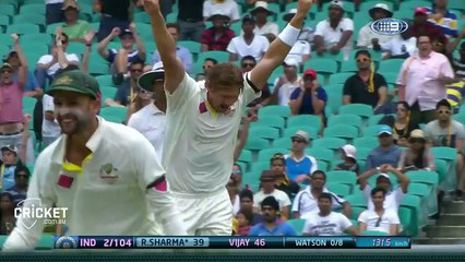 Captain Smith's catch of the summer