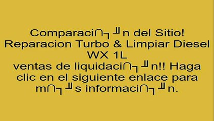 Reparacion Turbo & Limpiar Diesel WX 1L opiniones