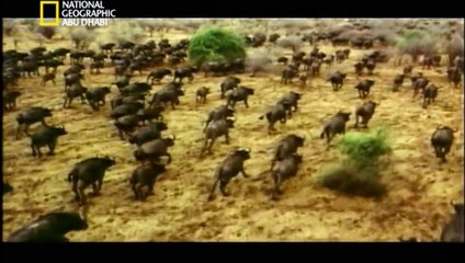 ‫وثائقي - ألد الخصوم HD‬‎