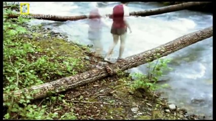 ‫وثائقي - الدب المترحل- الدببة الرمادية HD‬‎