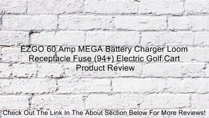 EZGO 60 Amp MEGA Battery Charger Loom Receptacle Fuse (94+) Electric Golf Cart Review