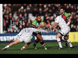 watch Leicester Tigers vs Harlequins live on tv