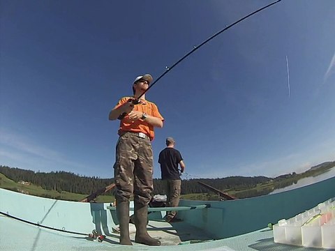 Pêches estivales aux leurres