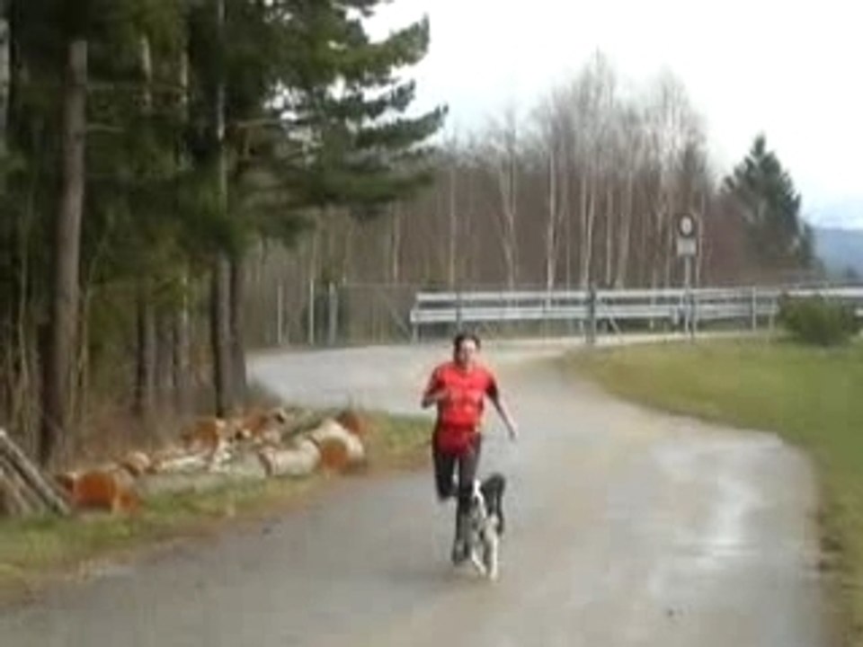 Widee canicross 30.02.07