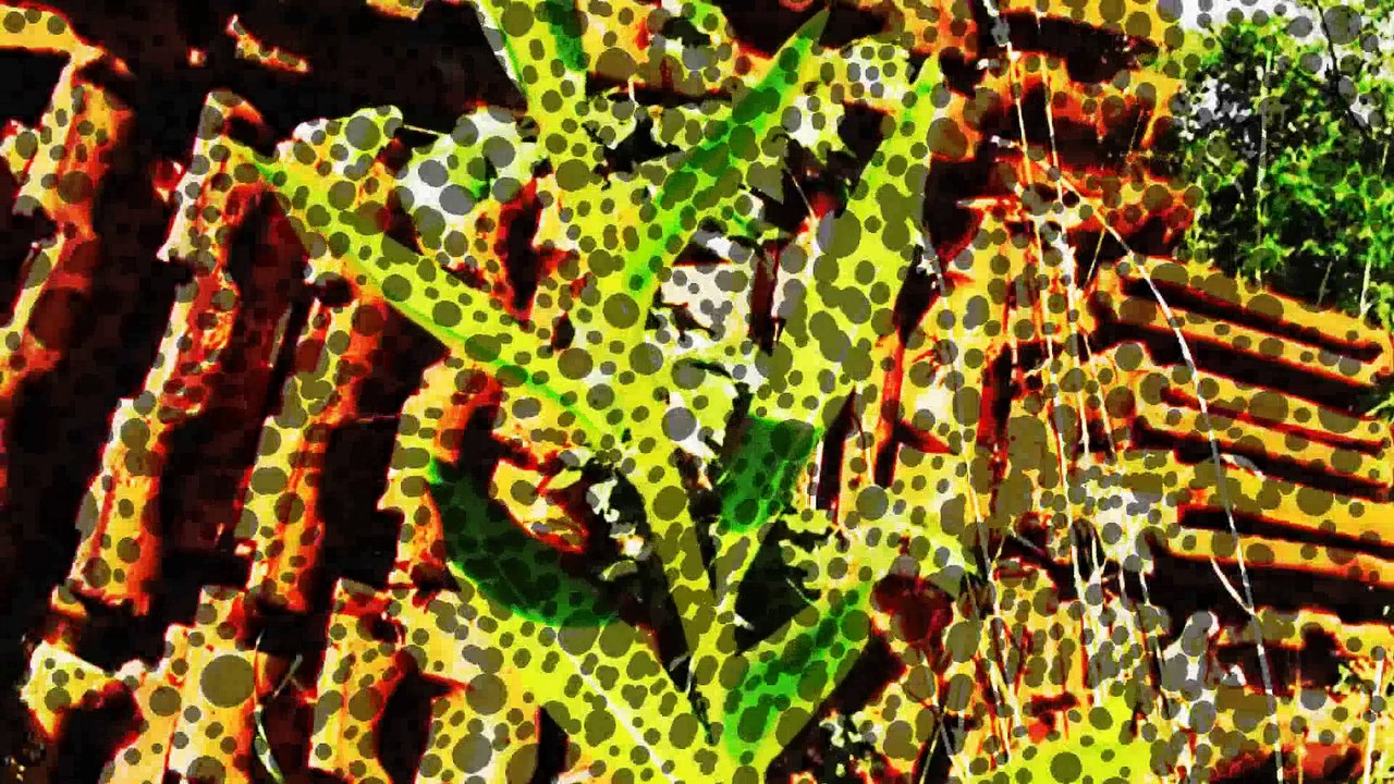 lepre des tuiles rouges  0,37mn