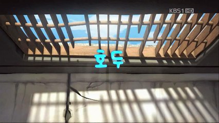 Larva Season 1 - Episode 31 ( Walnuts ) [HD]