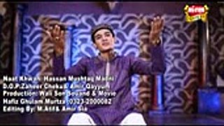 Lajpal muhammad aa gaya  by Hassan Mushtaq Madni