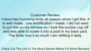 Songbird Essentials Window Wonder Two Tube Hummingbird Bird Feeder Review