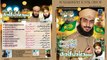 New Latest Naat 2015 By Syed Adil Raza Qadri