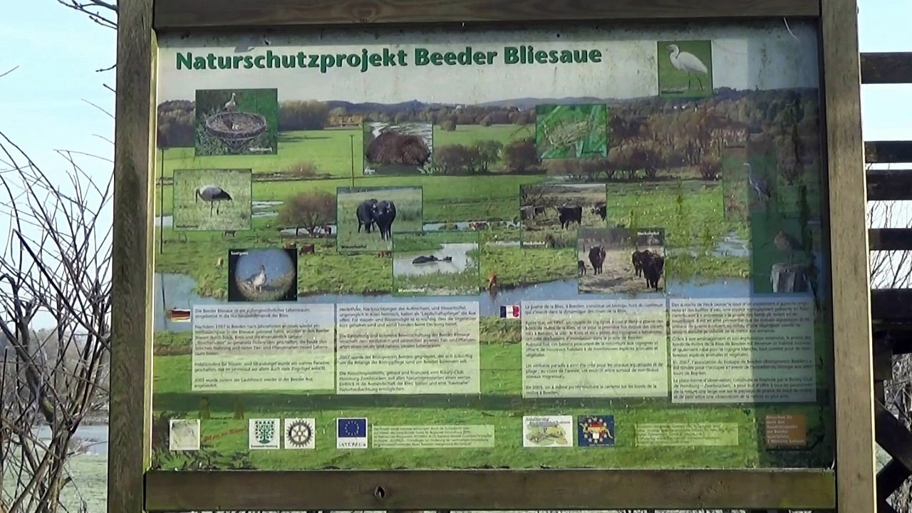 Beeder Bruch im Janua