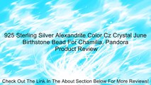 925 Sterling Silver Alexandrite Color Cz Crystal June Birthstone Bead For Chamilia, Pandora Review