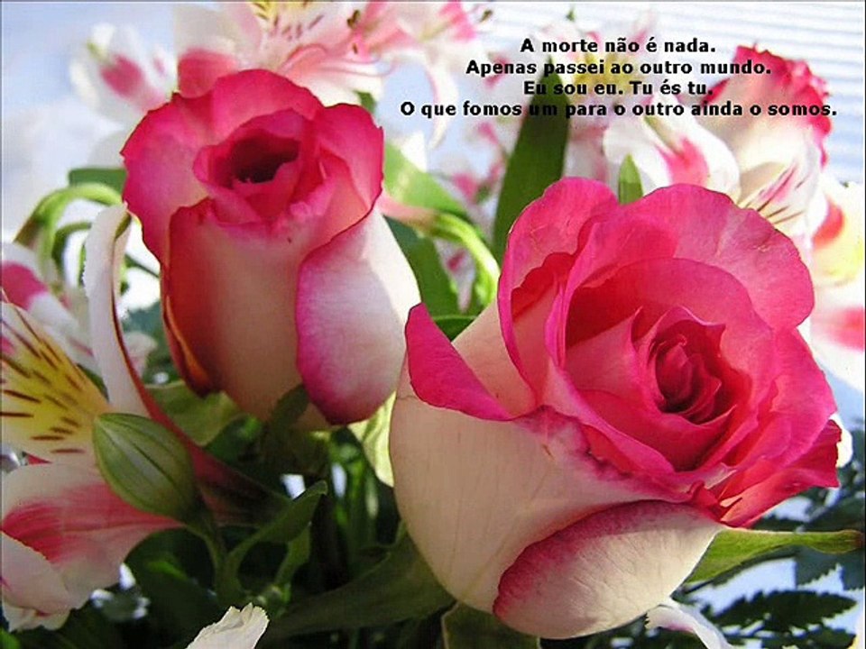 homenagem