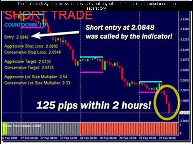 Profit Rush System Reviews – Great Return on Investment