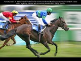 Punters Profits Review – Win Online Horse Racing Bets