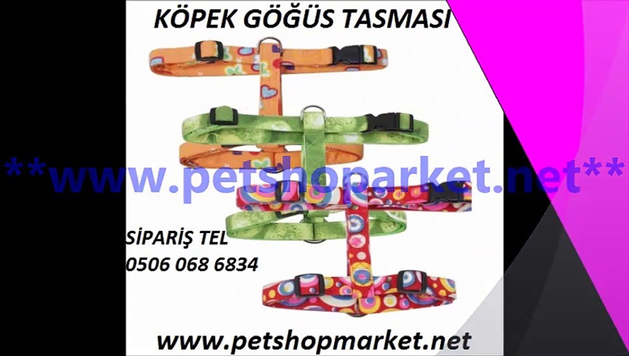 KÖPEK TASMALARI SATIŞ,KÖPEK TASMASI FİYATLARI,KÖPEK TASMASI ANKARA,KÖPEK TASMALARI ANKARA,BOYUN TASMALARI,YAVRU KÖPEK TASMALARI,KÖPEK ZİNCİRİ