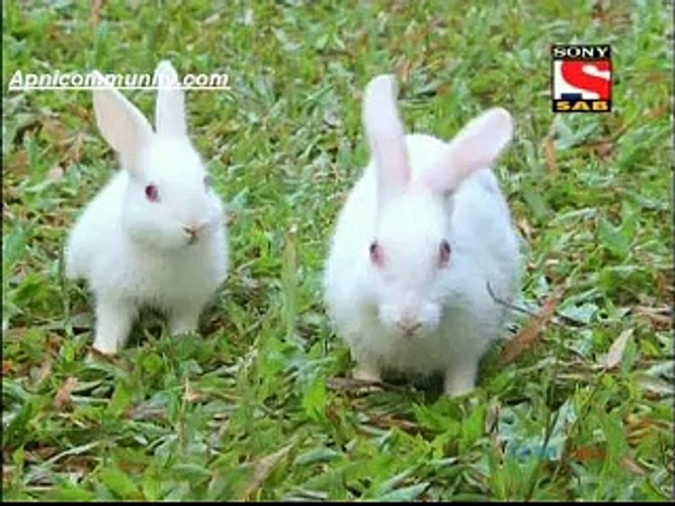 Family Drama(Sony Sab)-10 Jan 2015-pt1