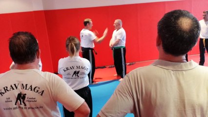 Démonstration Krav Maga