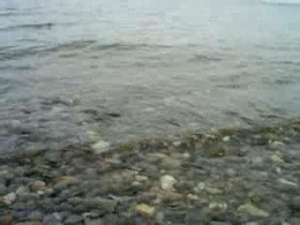 Gaspesie