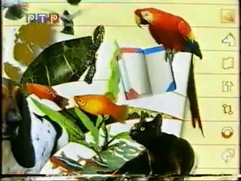 staroetv.su / Компьютер (РТР, 1998) Энциклопедия домашних животных
