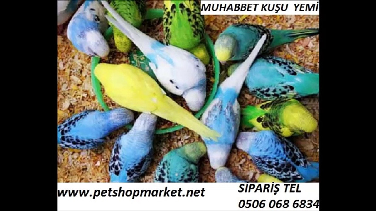 MUHABBET KUŞU YEMİ ÇUVAL FİYATI,MUHABBET KUŞU YEM 25 KG,MUHABBET YEMLERİ,MUHABBET YEMİ,MUHABBET KUŞ YEMİ,MUHABBET KUŞU YEM ÇEŞİTLERİ,MUHABBET KUŞU YEMLERİ 25 KG