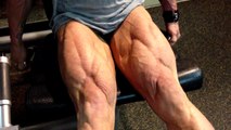 Vascular ripped muscular legs