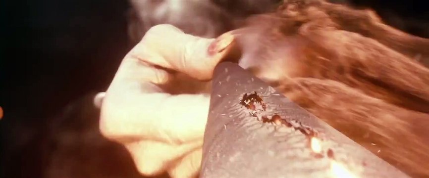 Harry Potter and the Deathly Hallows - Part 1_ Review Spot #2