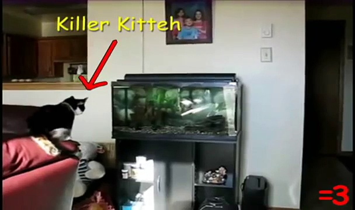 GUY CATCHES ON FIRE!!
